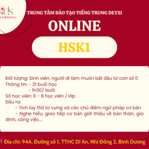 HSK01 Online