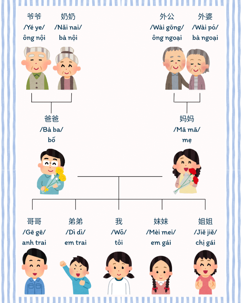 Các thành viên trong gia đình