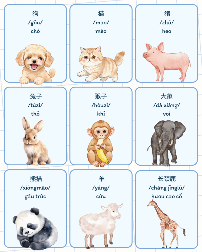 Từ vựng tiếng Trung chủ đề động vật